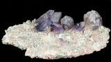 Smoky Amethyst Crystal Cluster on Matrix - Namibia #46034-1